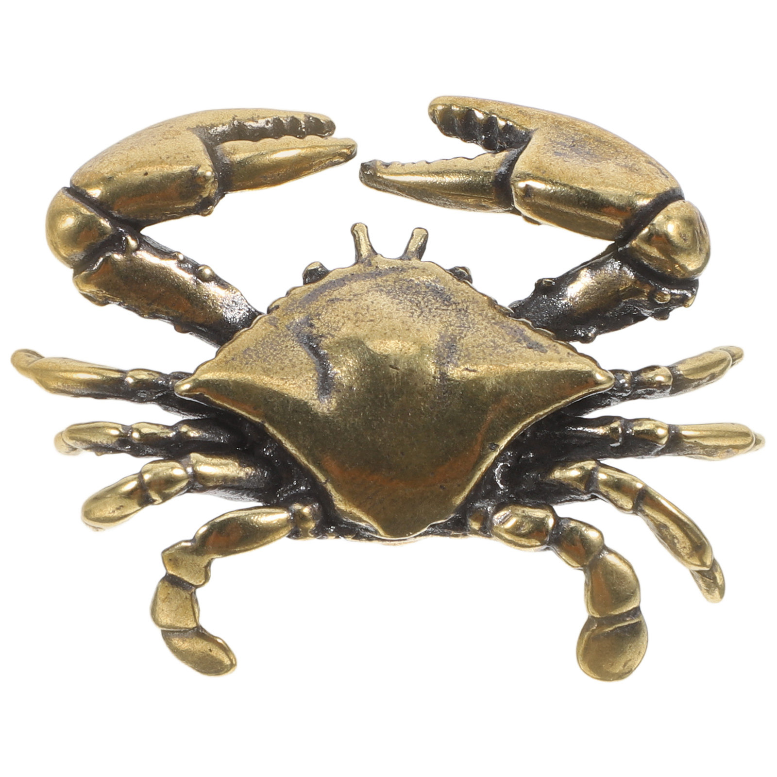 Brass Crab Cabinet Handle Naut - Unique Furniture Hardware Pulls 评论和价格